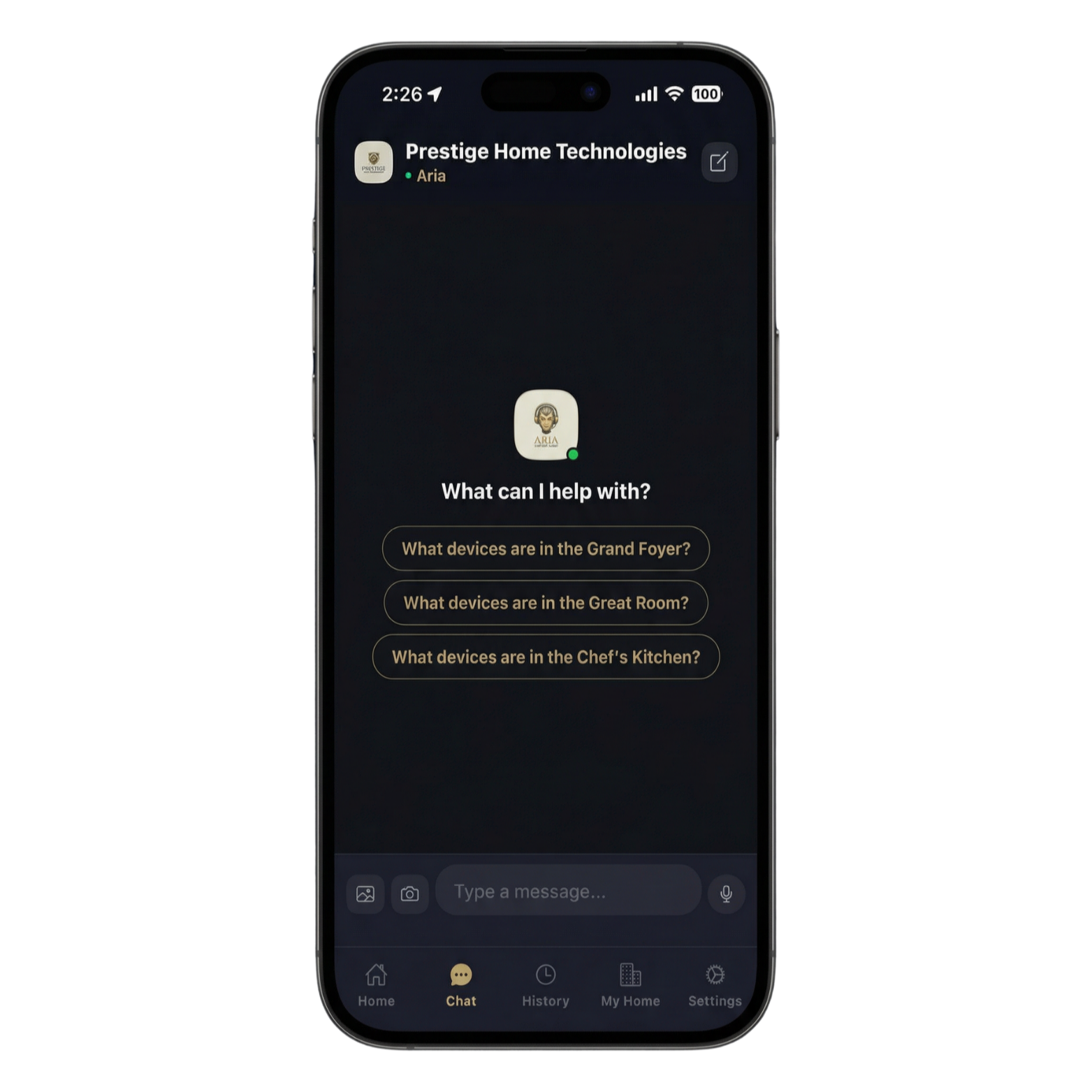 Chat welcome screen with Aria AI assistant and suggestion chips